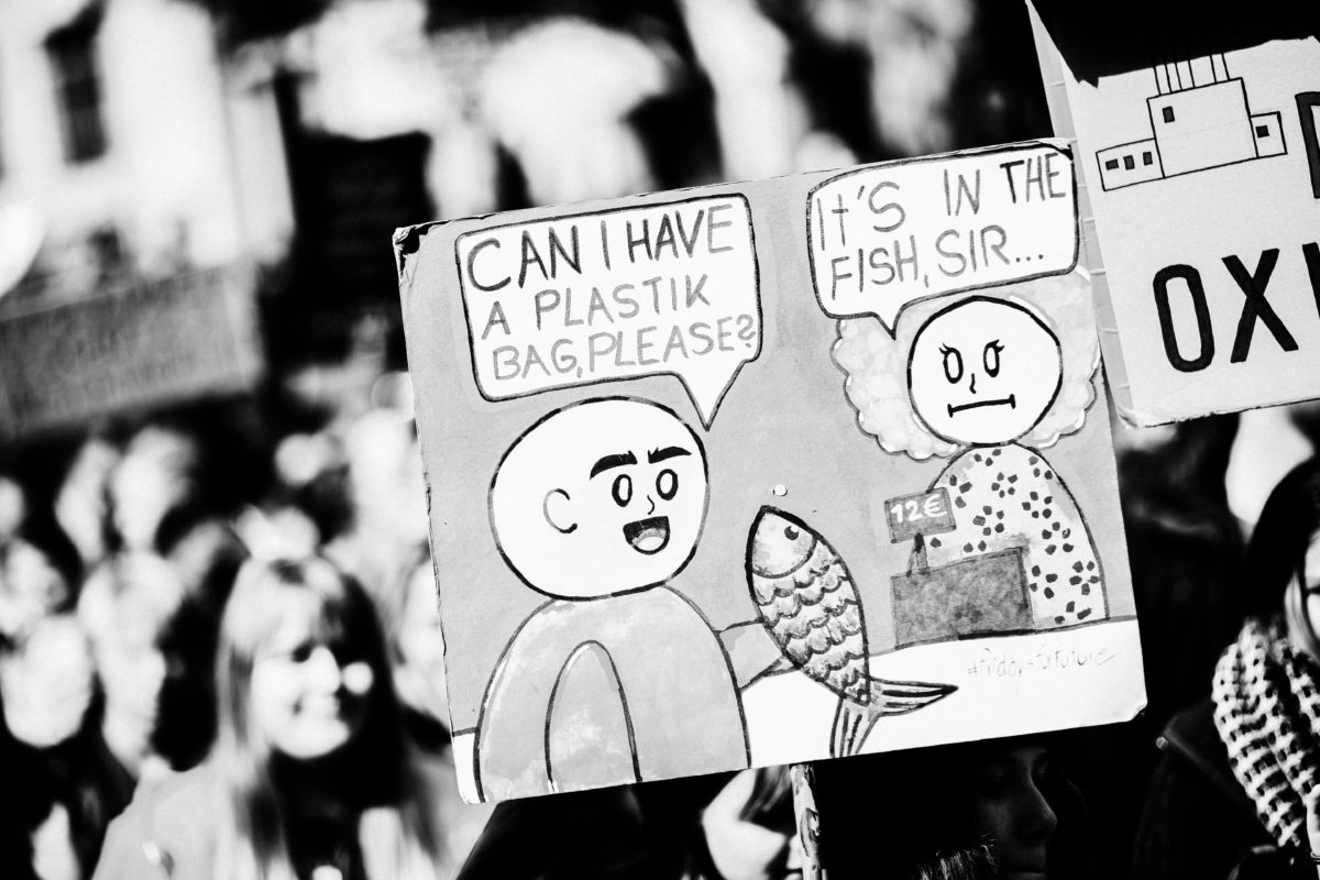 Świadomość społeczna pokolenia Z